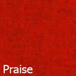 Camira%20Blazer%20Lite%20Fabric%20Praise